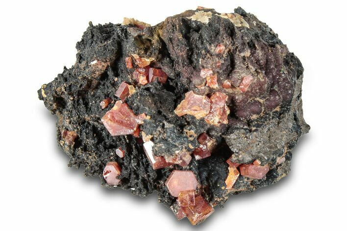 Small Red Vanadinite Crystals on Goethite - Morocco #292901